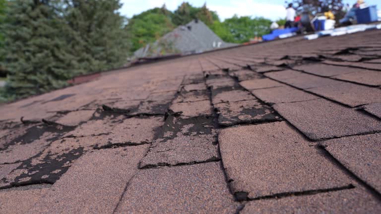 Best Emergency Roof Repair Services  in Highland Village, TX